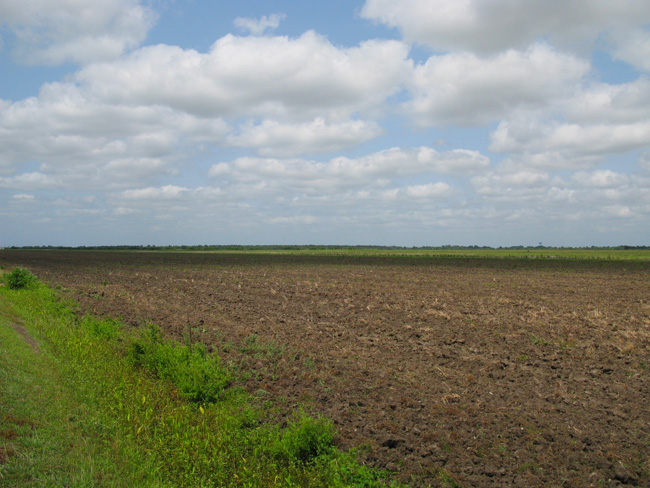 Agriculture Field (Image ID: 72-351)