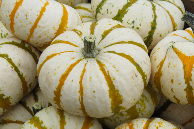 Jack Be Little Pumpkin (Farmers Market) (Image ID: 72-491)
