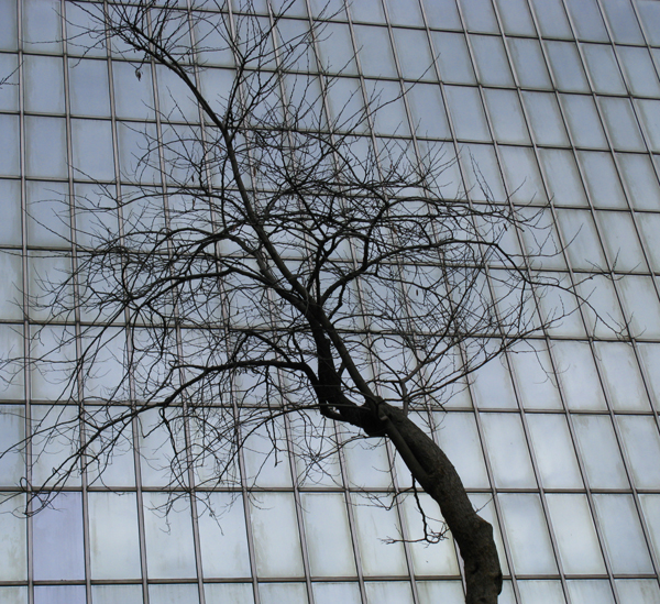 Metropolitan Museum of Art (MET), New York City (Image ID:8-166)