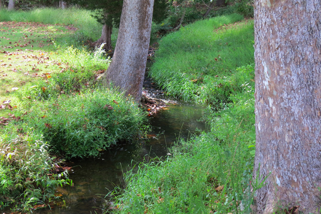 Stream (Image ID: 73-096)