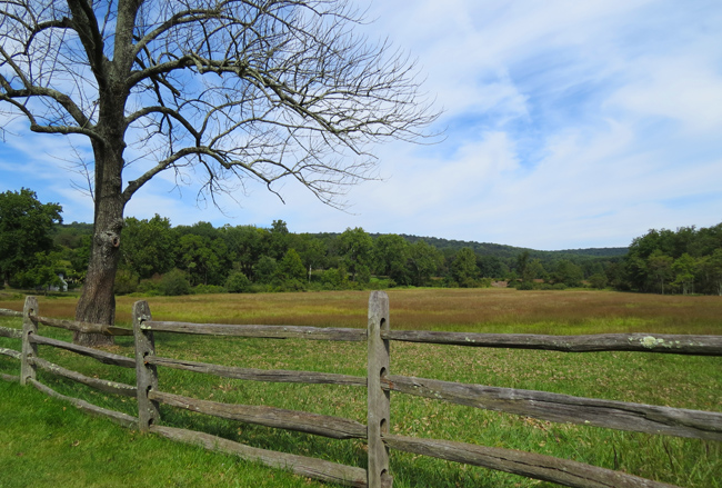 Nature (Image ID: 73-116)