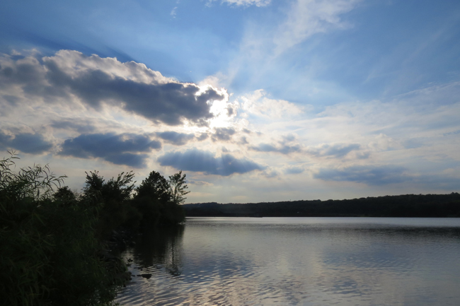 Nature (Image ID: 73-071)