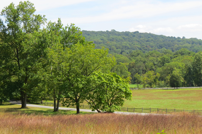 Nature (Image ID: 73-081)