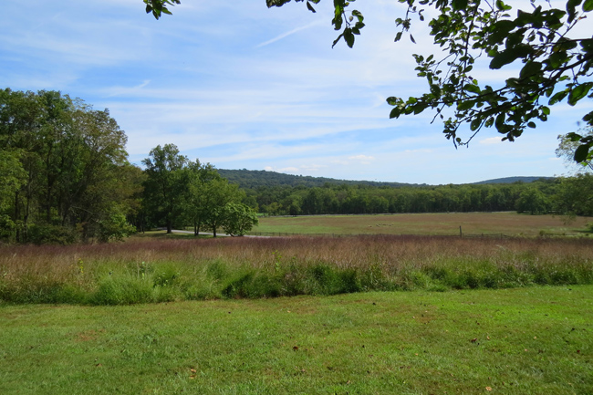Nature (Image ID: 73-086)