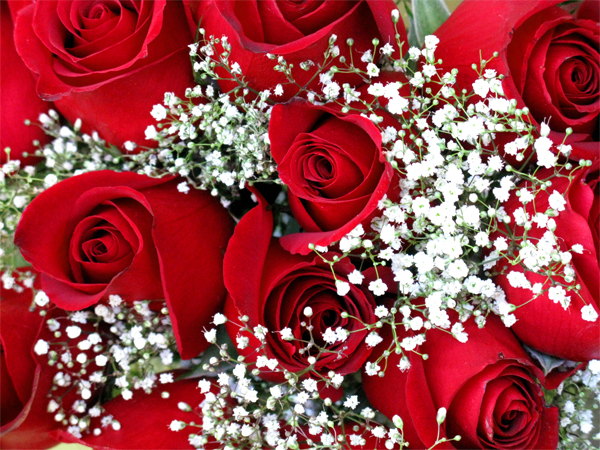 Red Rose Bouquet (Image ID:47-176)