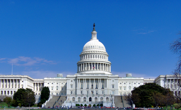 Capitol, Washington D.C. (Image ID:59-036)