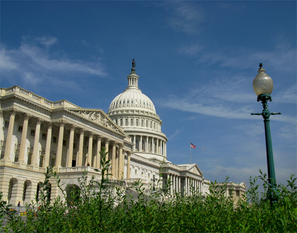 Capitol, Washington, D.C. (Image ID:59-079)