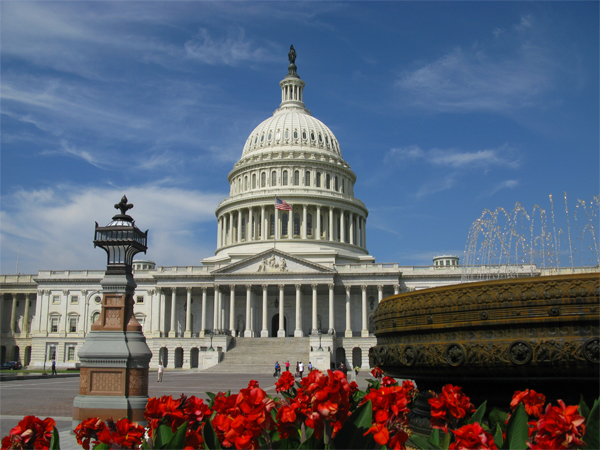 Capitol, Washington, D.C. (Image ID:59-106)