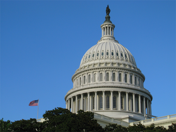 Capitol, Washington, D.C. (Image ID:59-161)