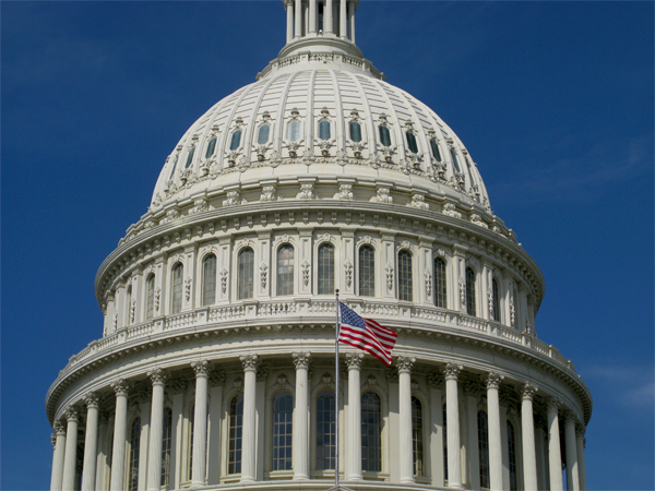 Capitol, Washington, D.C. (Image ID:59-071)
