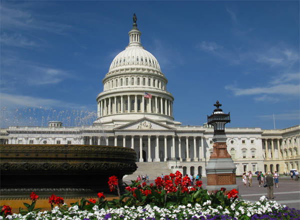 Capitol, Washington, D.C. (Image ID:59-061)