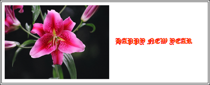 Happy New Year (Image ID: 57-021)