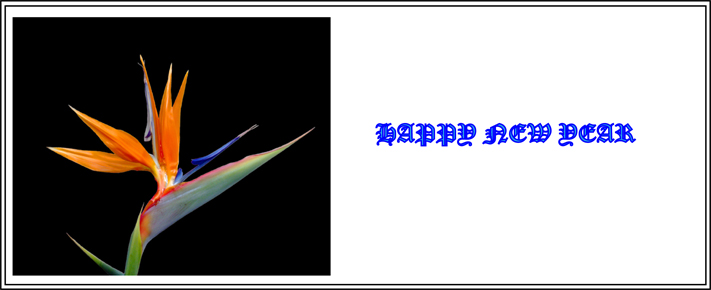 Happy New Year (Image ID: 57-026)