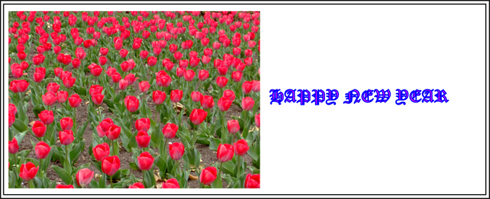 Happy New Year (Image ID: 57-026)