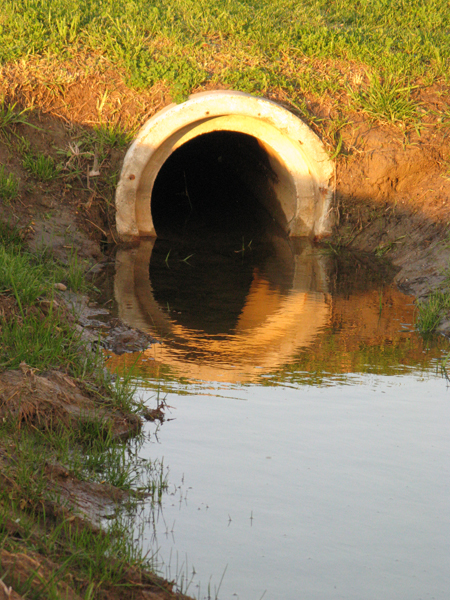 Drain (Image ID:11-171)