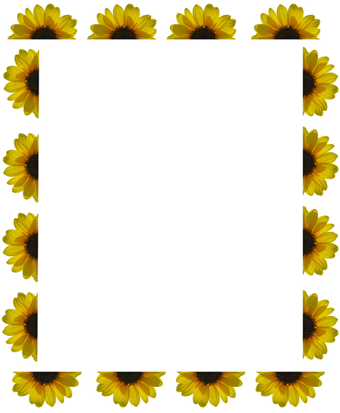 Sunflower  (Image ID:1-376)