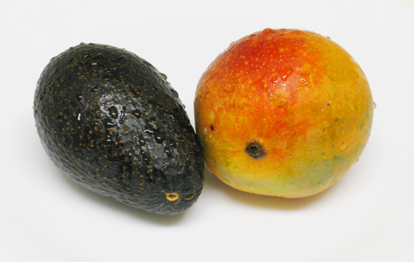 Avocado and Mango (Image ID:44-021)