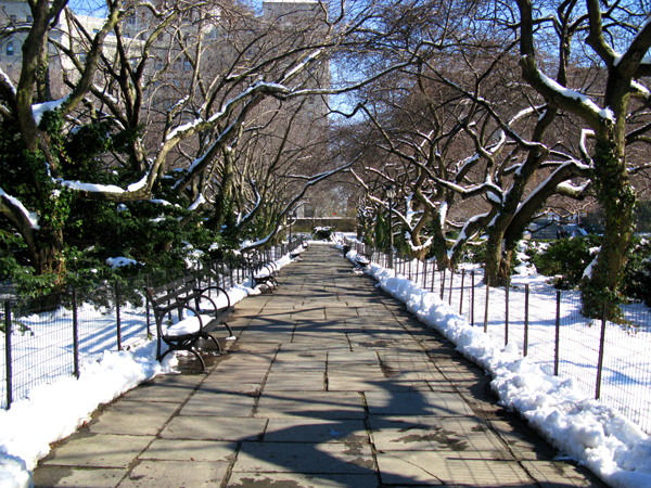 Central Park (Image ID:4-056)