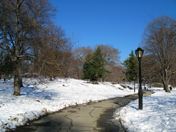 Central Park (Image ID:4-041)