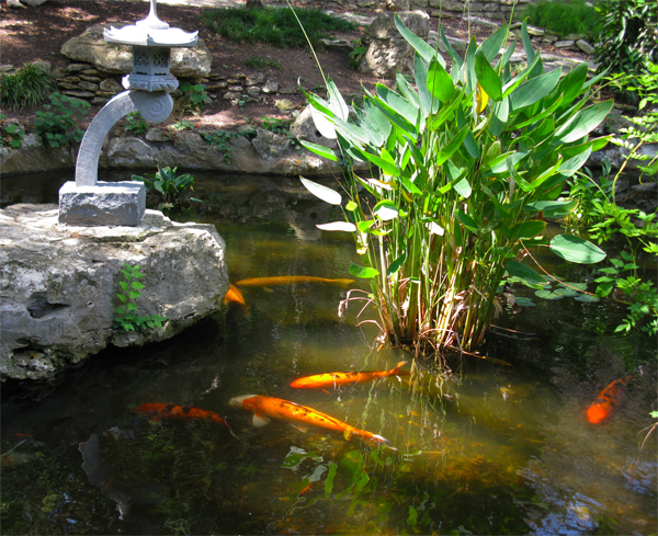 Garden Pond (Image ID:4-046)