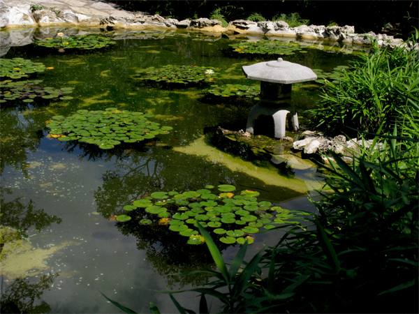 Garden Pond (Image ID:4-051)