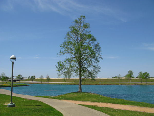 Park (Image ID:4-161)