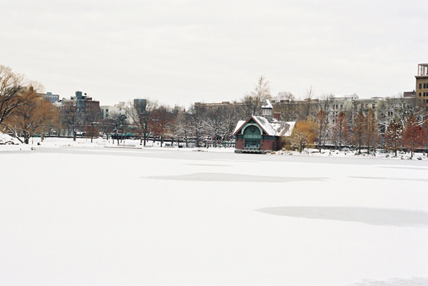 Pond, Winter, Central Park, New York (Image ID:4-021)