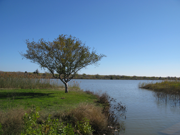 Nature (Image ID: 73-031)