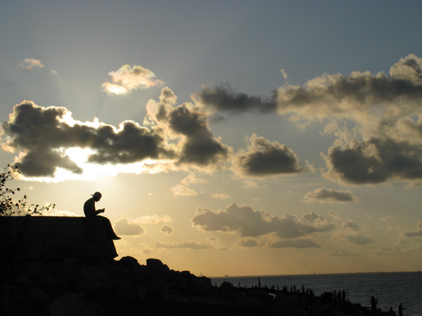 Nature (Image ID: 73-041)