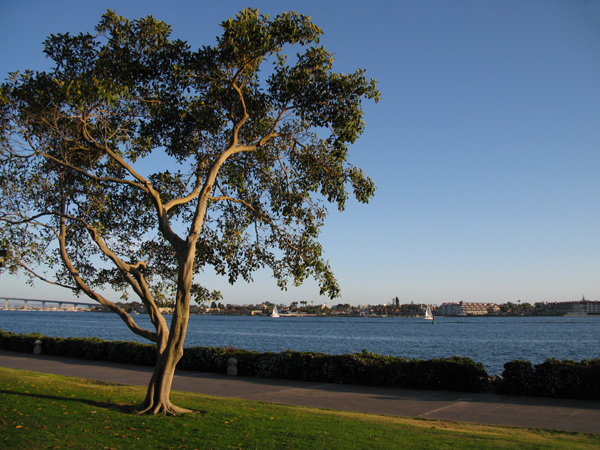 Nature (Image ID: 73-056)