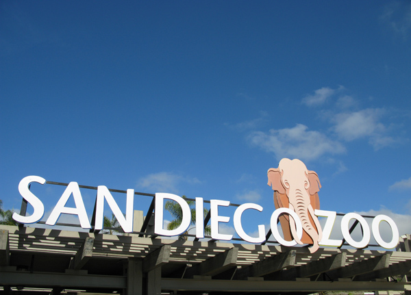 San Diego Zoo (Image ID:16-0191)