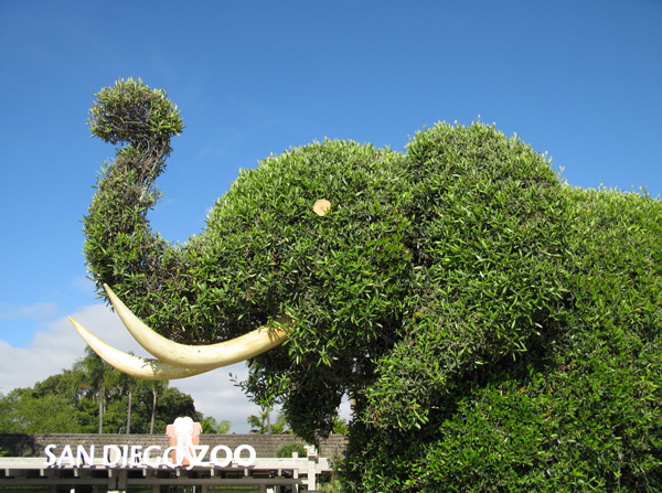 San Diego Zoo (Image ID:16-0196)