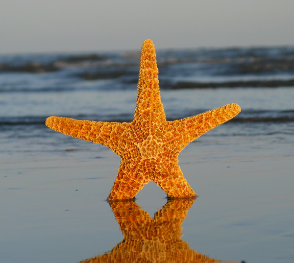 Vacation (Image ID: 26-061)