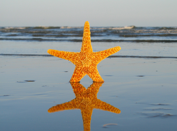 Vacation (Image ID: 26-066)