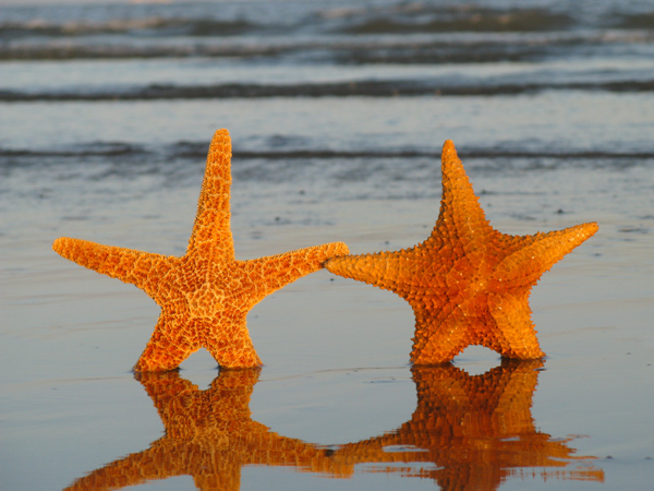 Vacation (Image ID: 26-076)