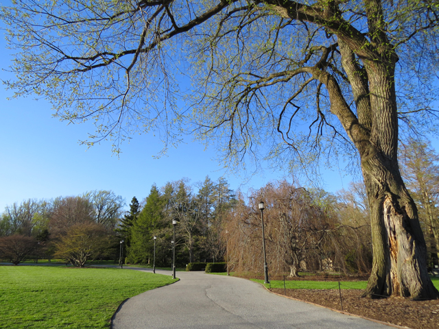 Spring Season-17 (Image ID: 83-071)