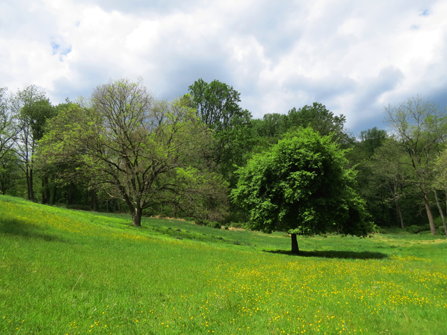 Spring Season-73 (Image ID: 83-136)