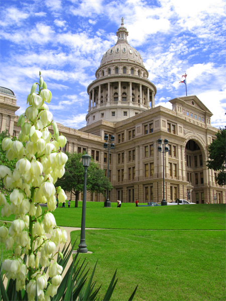 Texas Capitol, Austin (Image ID:30-026)